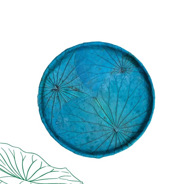 Nia Lá Sen - Xanh Dương