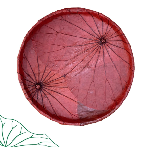 Nia Lá Sen - Đỏ