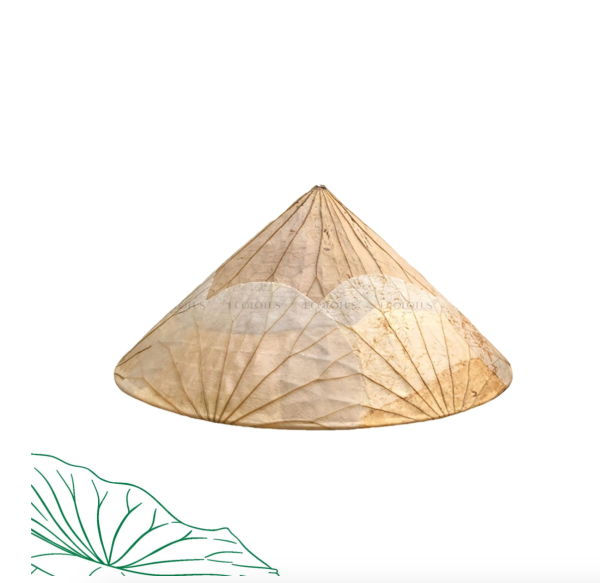 Nón Lá Sen - Trắng