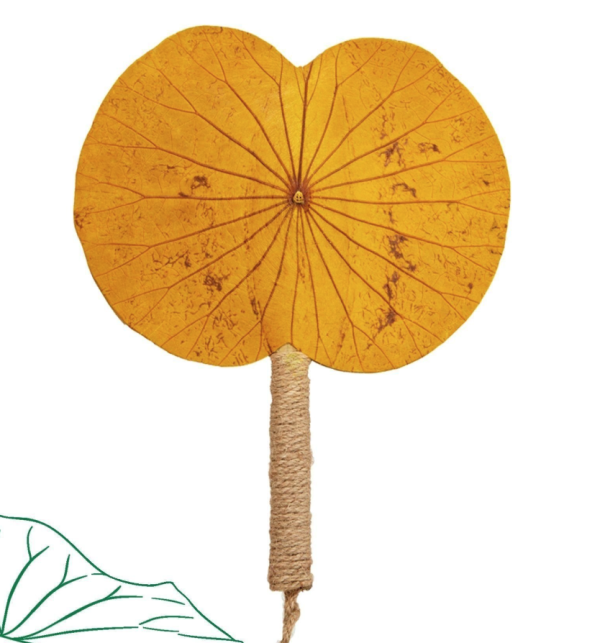 Quạt Lá Sen Ngang - Vàng